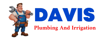 Trusted plumber in FREE SOIL